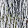 Link to textures gallery