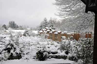 Snow at Edgewood Garden