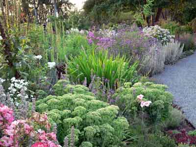 The main border