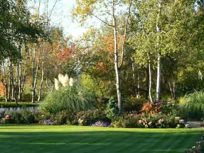 Another poolside border garden 