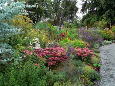 The main border in flower in September