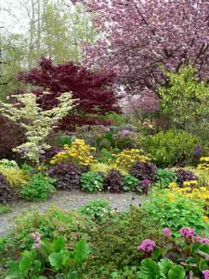 The glory of spring flowers in the border