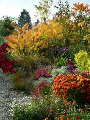 The north border in autumn