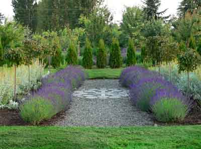 Pathway leading to the labyrinth