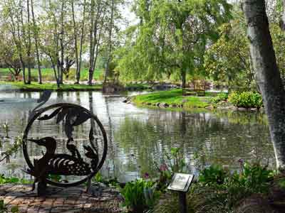 Sculpture of a loon on the banks of the pond