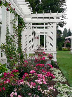 Pergola front bed