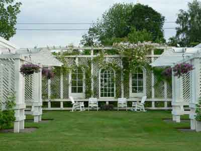 Windows in the pergola
