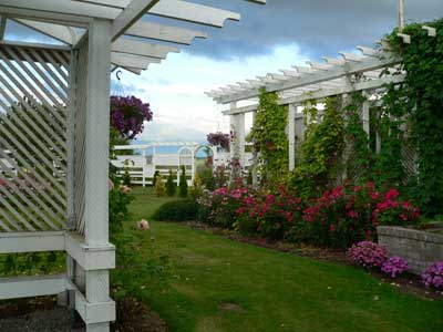 Pergola and gazebo